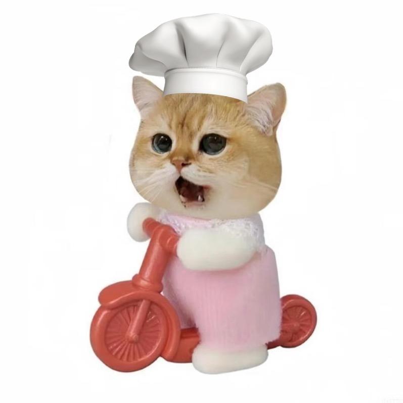 lovely猫爱做饭