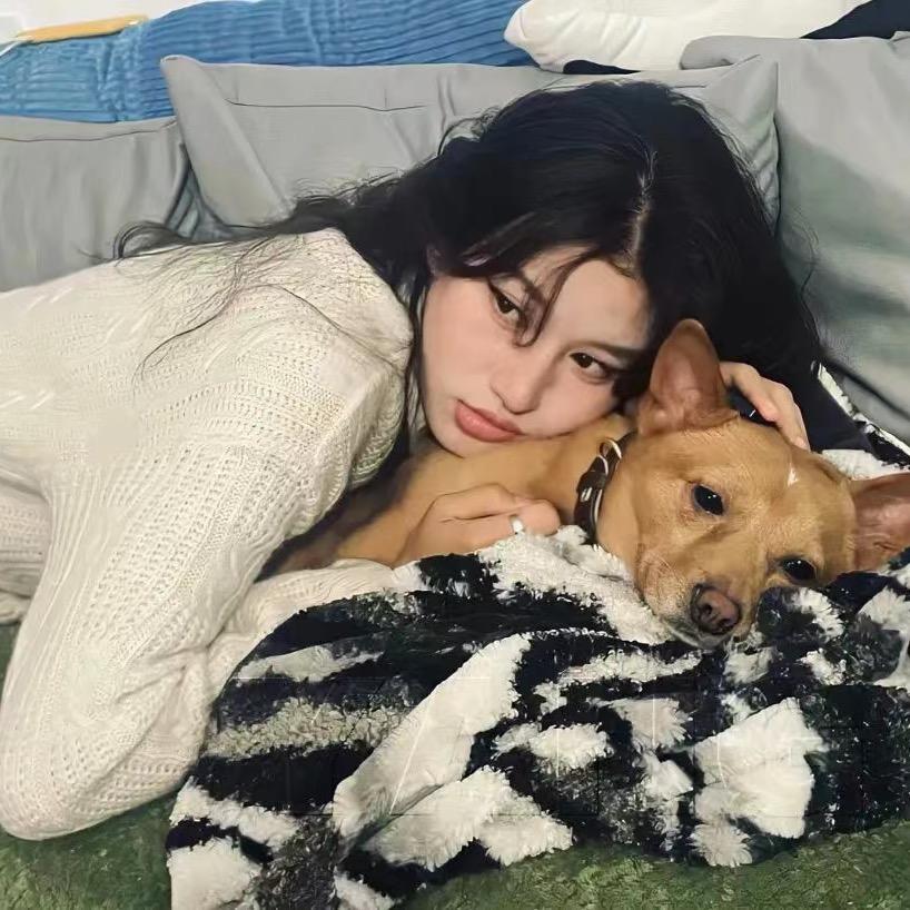 丢了的熊（清醒版）