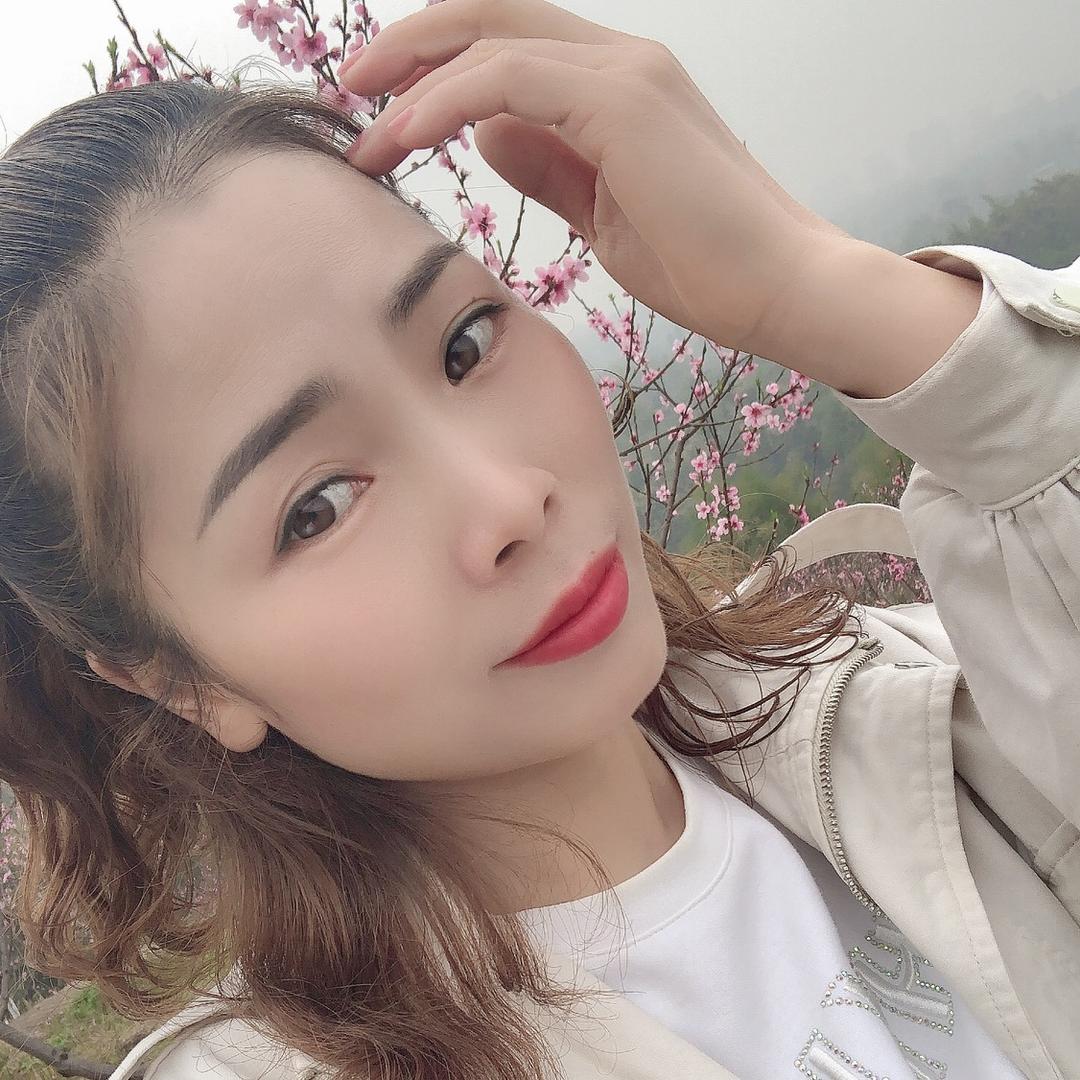 🌺芙蓉花🌺