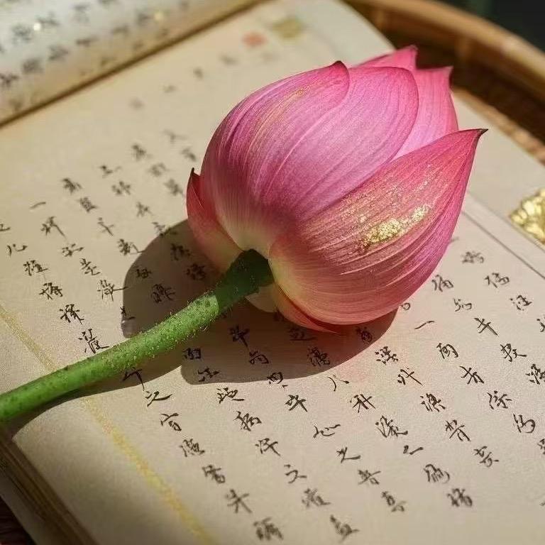 ☀️万万☀️