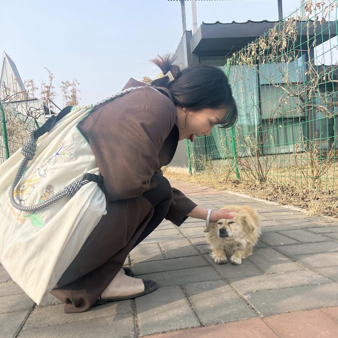 墨脱十年
