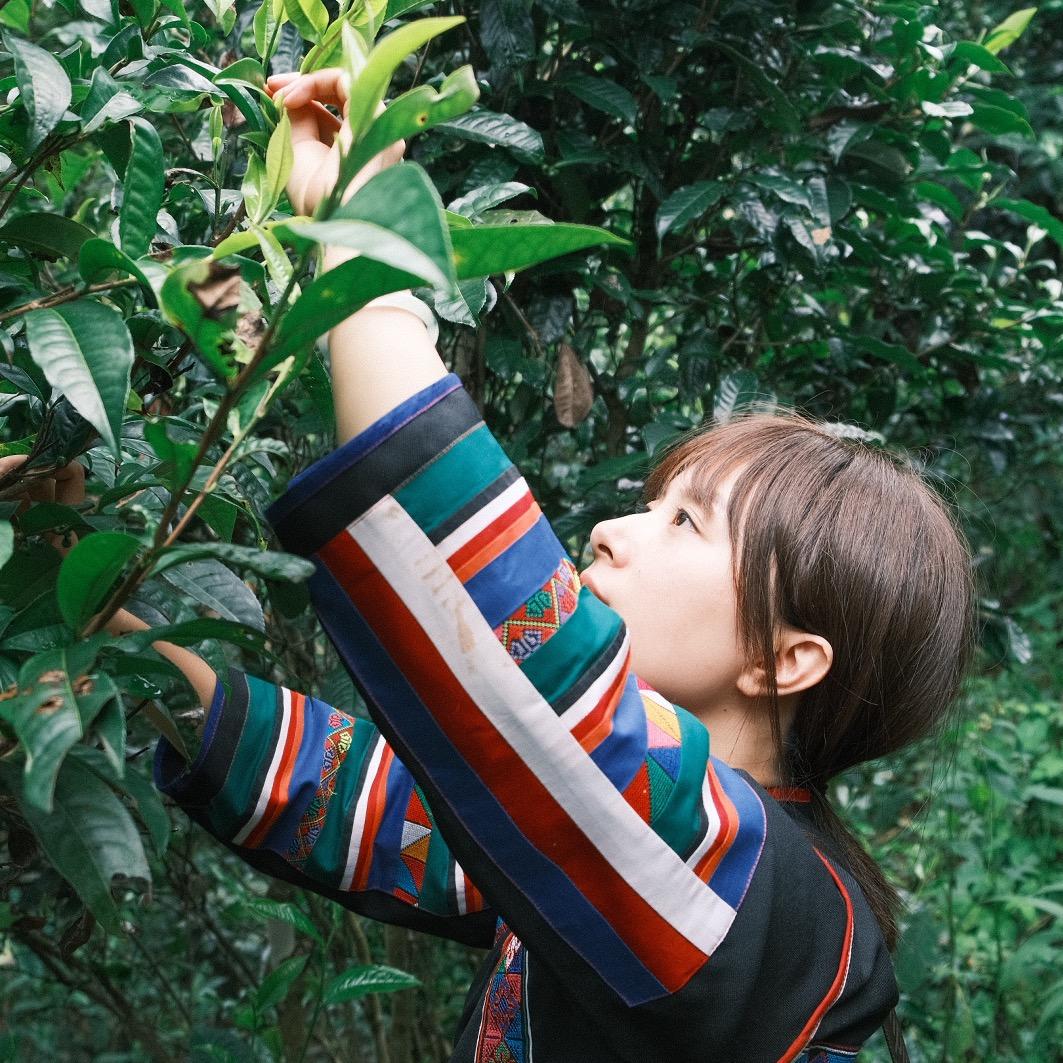 茶人姚瑶