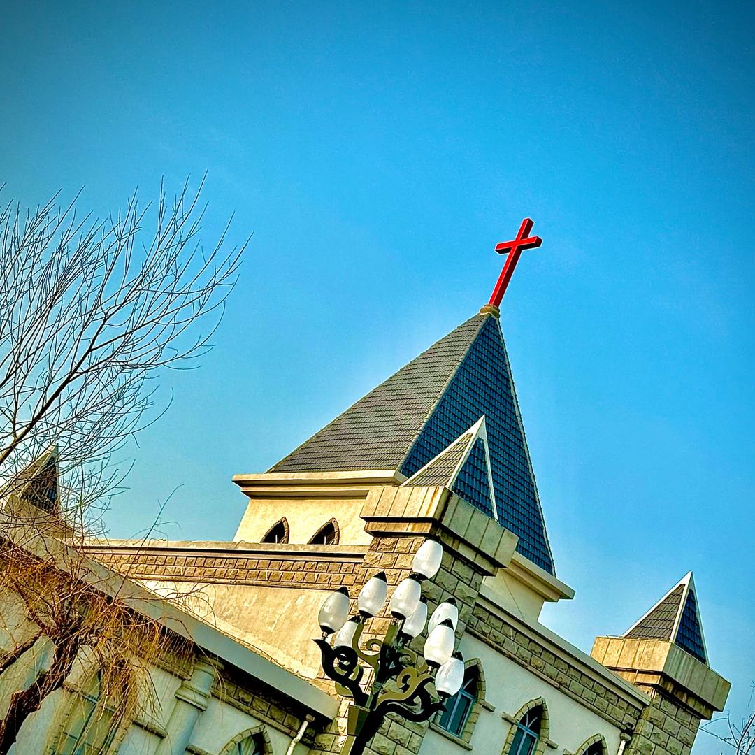 ✨百变小兔子🐰