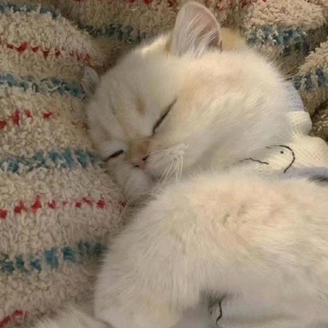 QQ