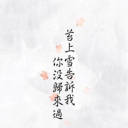 小糊涂²⁰²⁵🐾