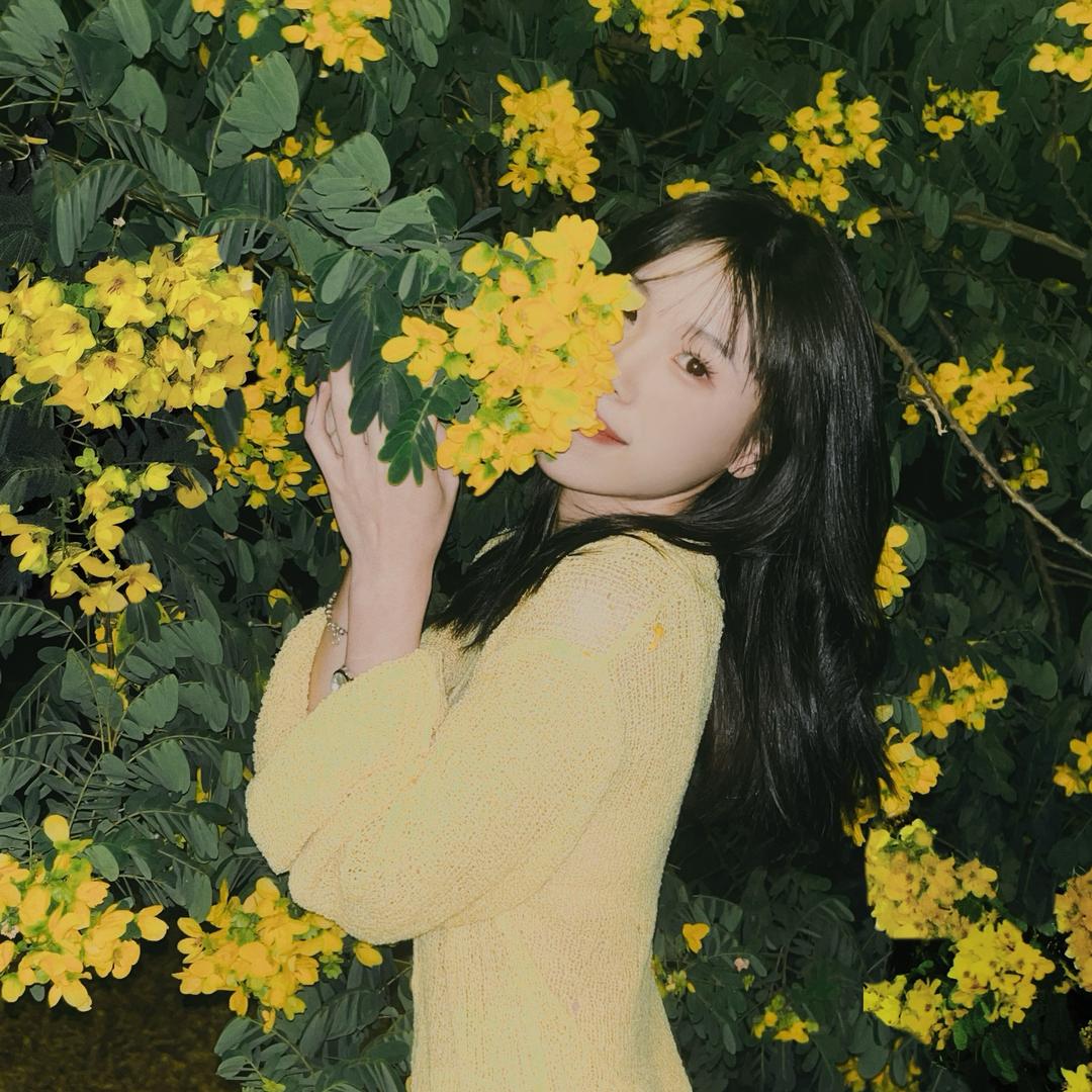 西梅-