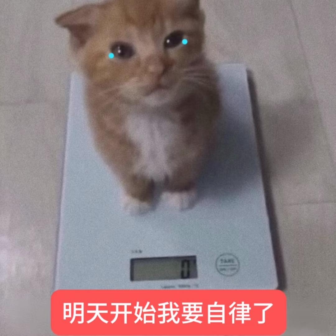 小纽扣