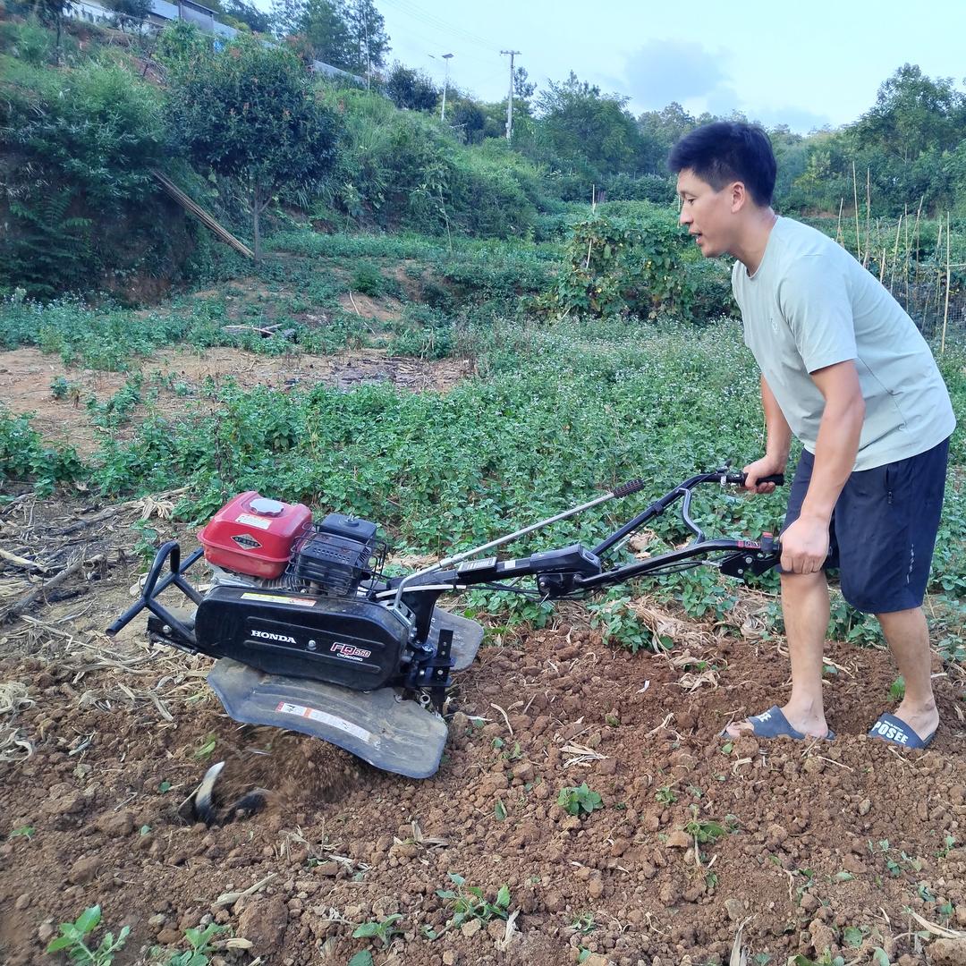 清风亭生态农庄鸡鸭蛋