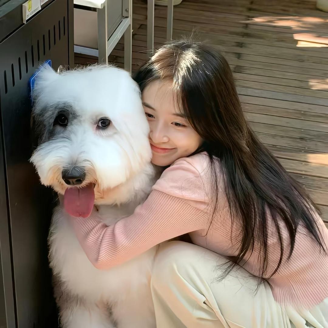 布丁小熊🧸