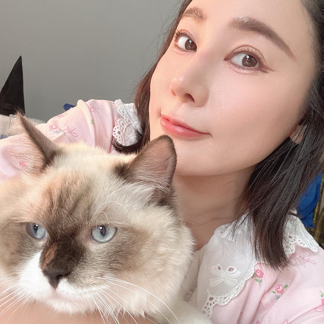 页柯是只猫