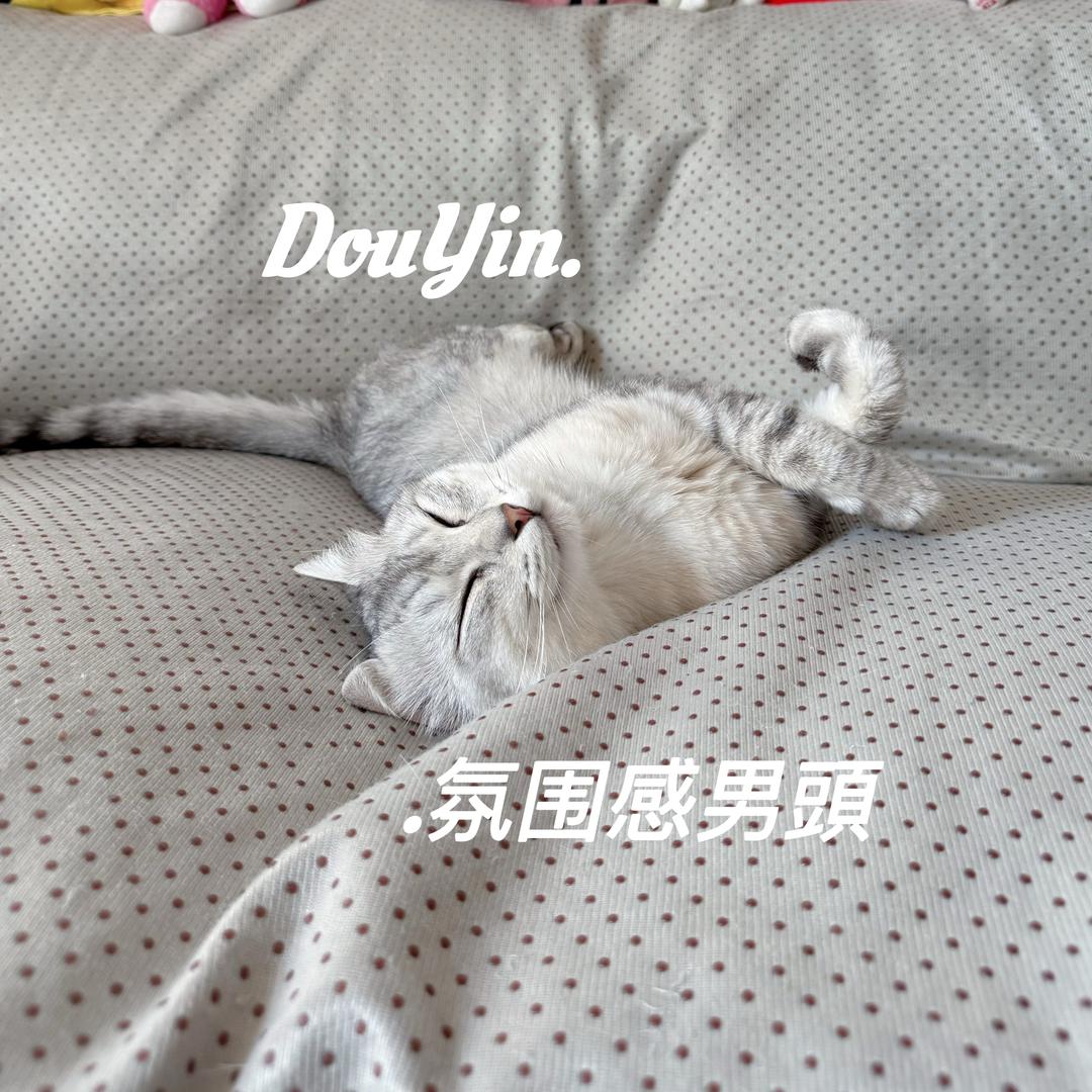 小李去哪儿