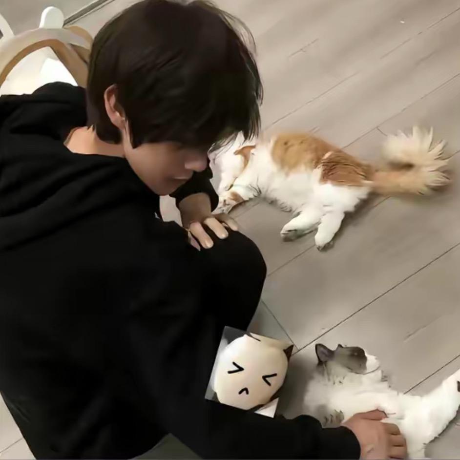 ◞ ̑̑我的专属柿🫧