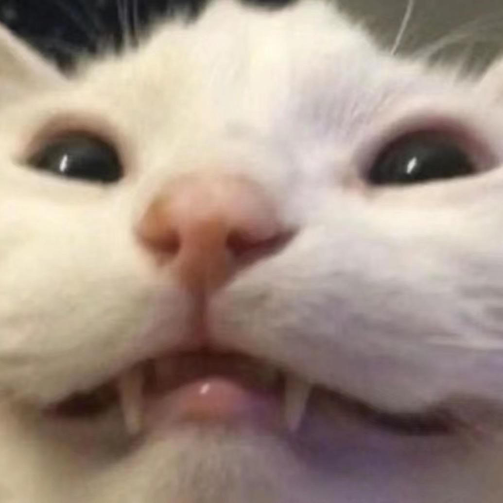 小痞^ ^