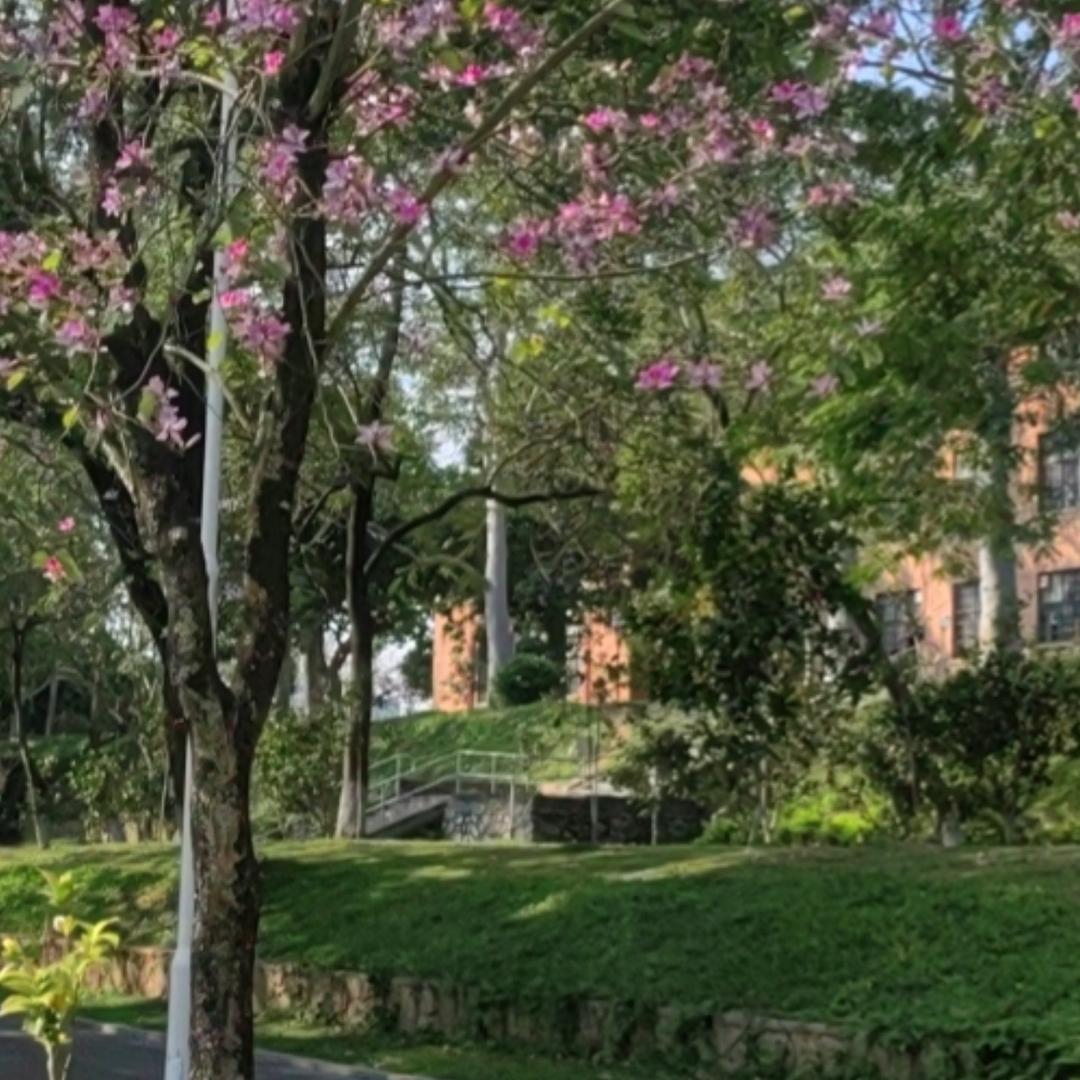 思钱想厚🌈🌹