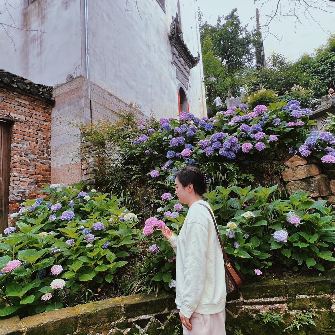 不爱吃姜