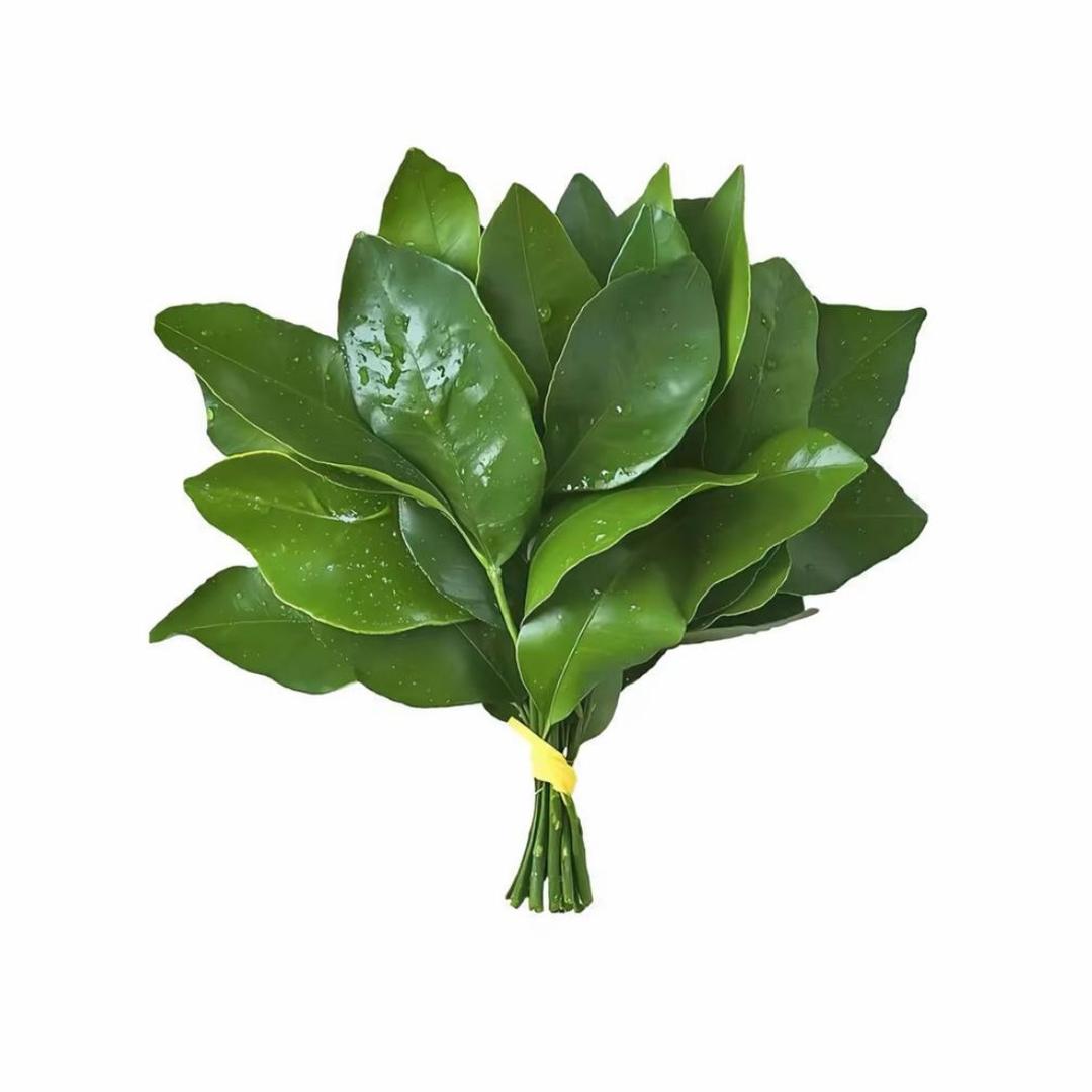 三右〽️