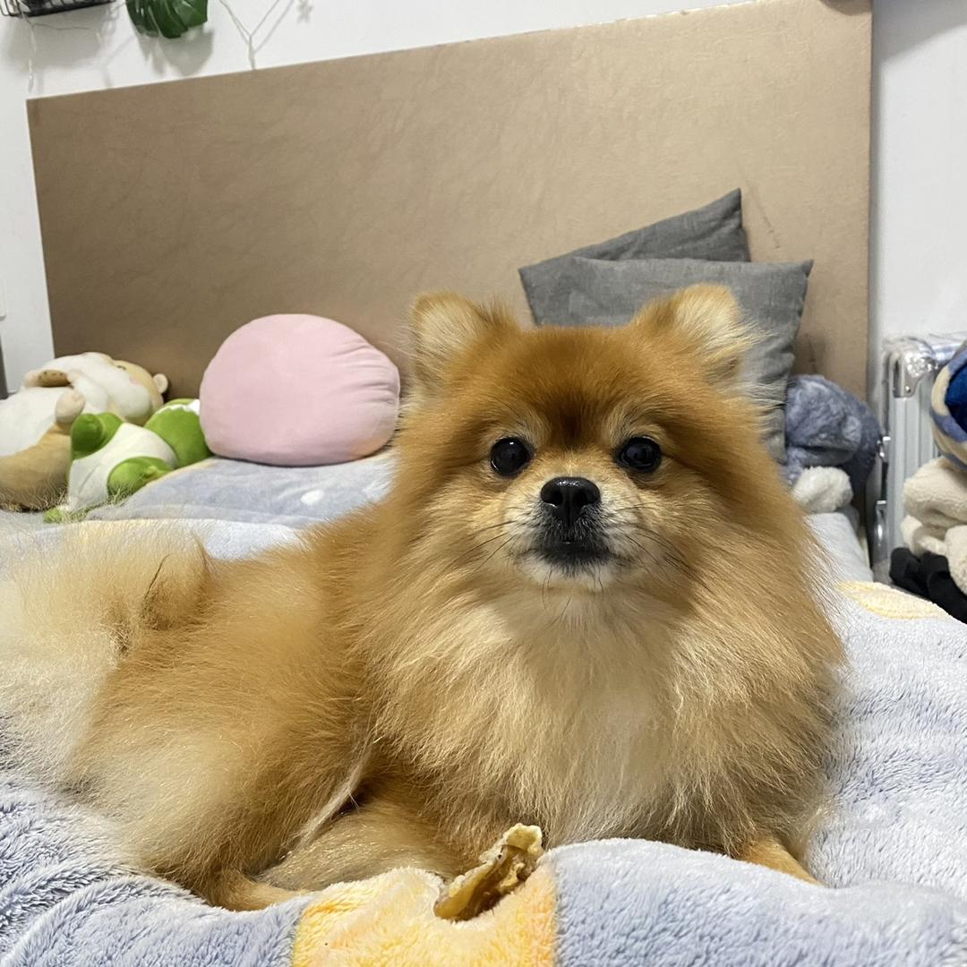 特特。