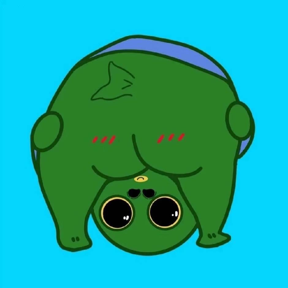 小鸿