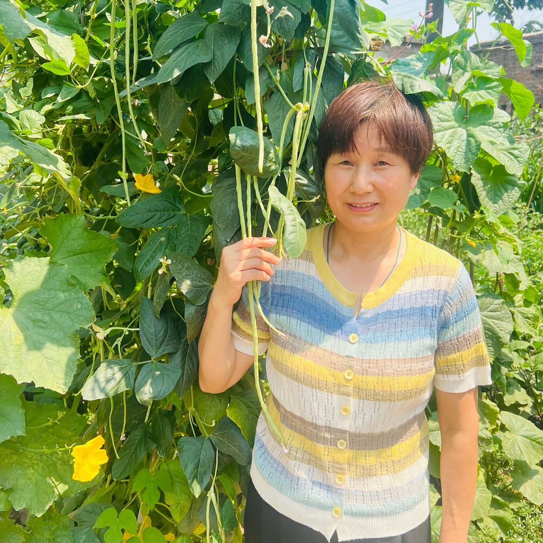 红姐爱分享