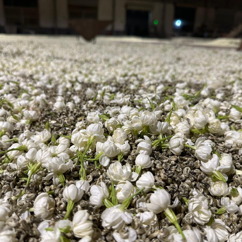 天津市滨海新区福源轩茶叶经营部