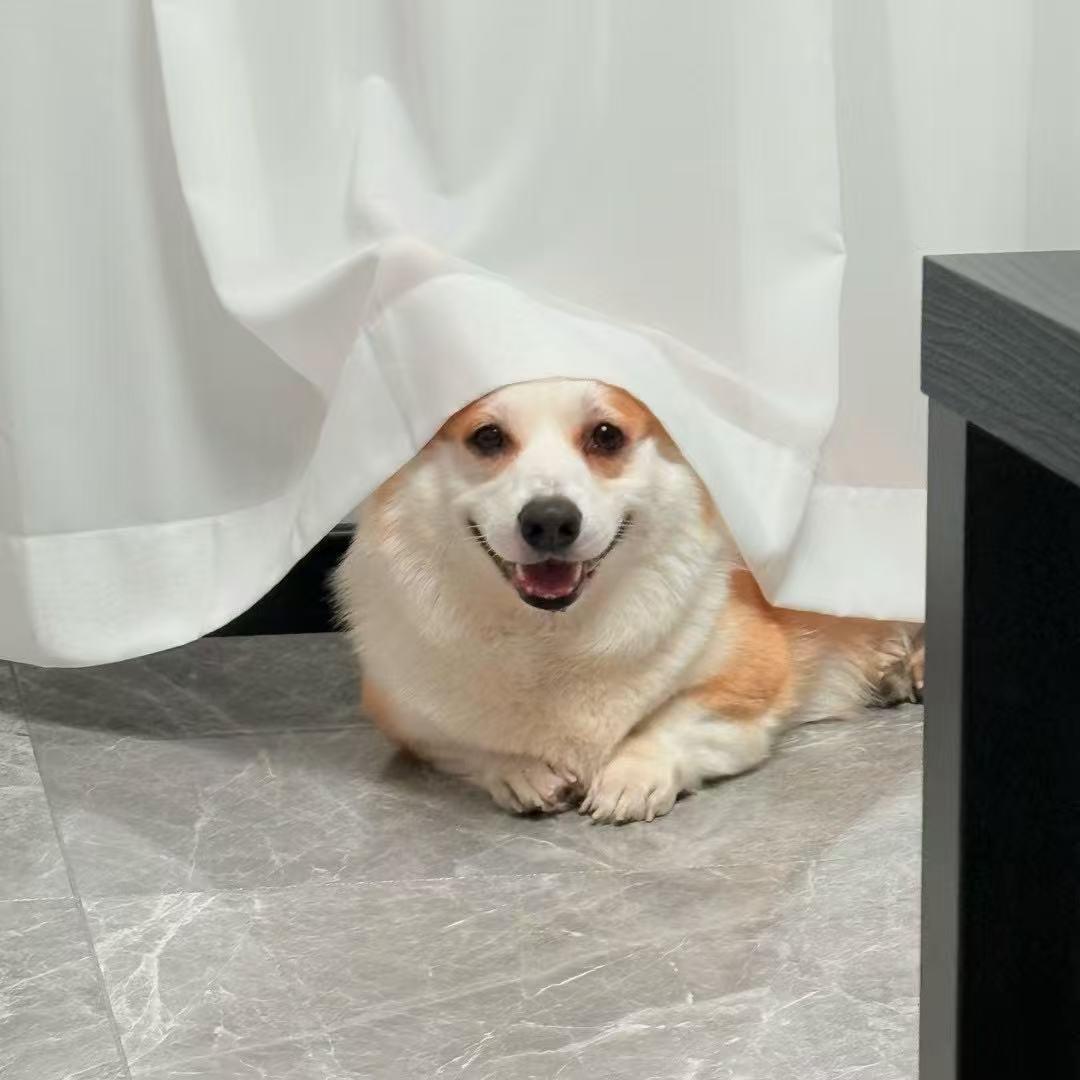 我睡觉了