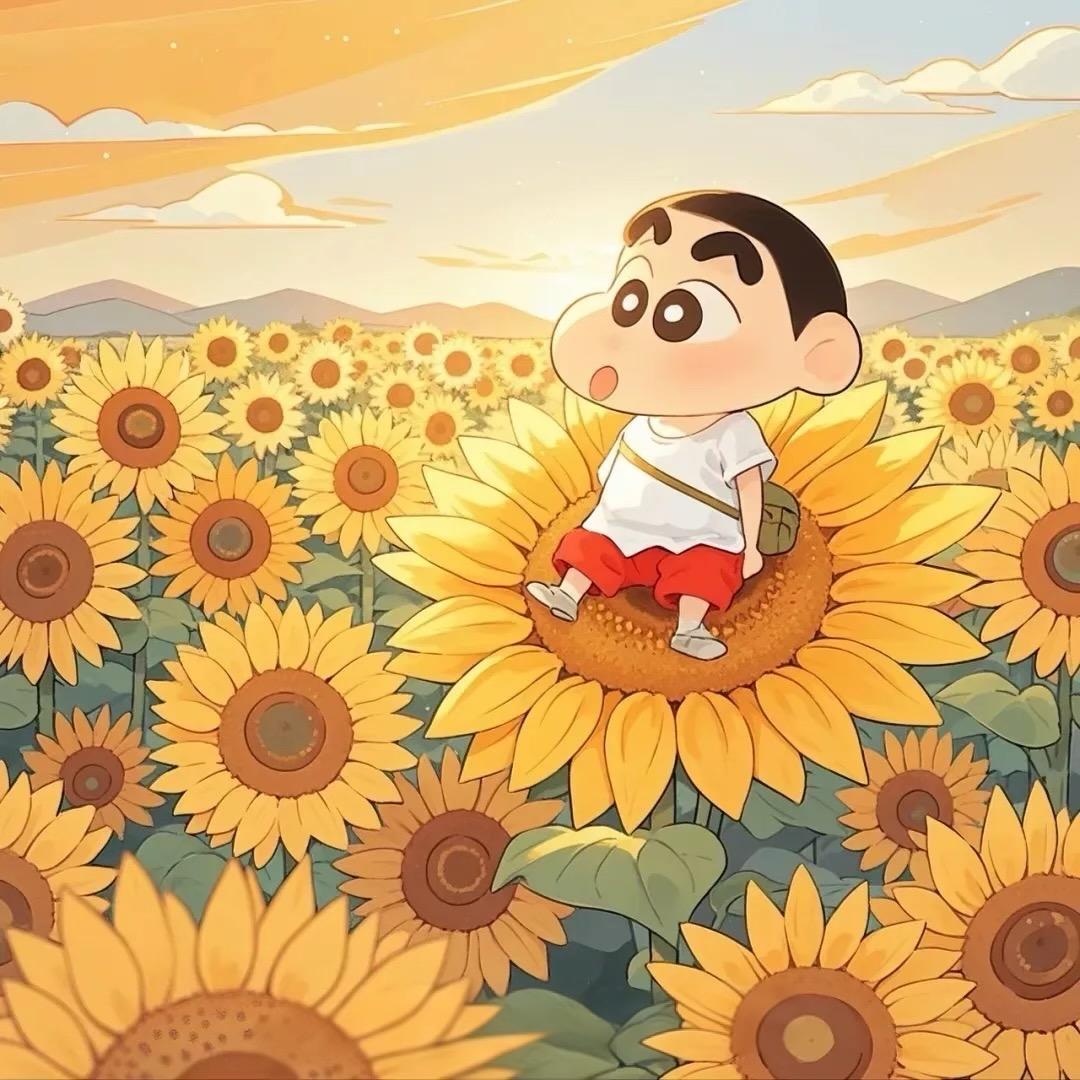 晴 天☀️