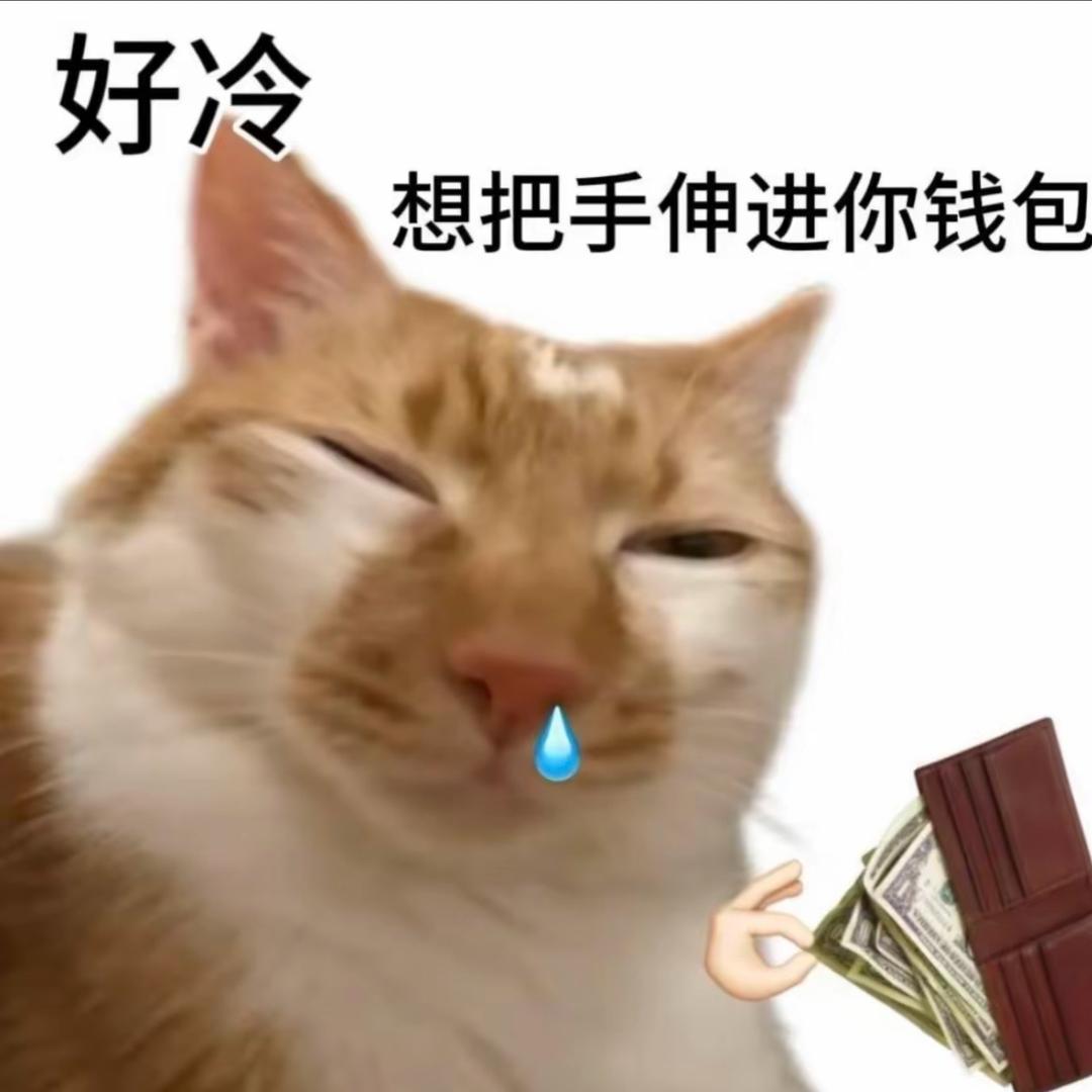 好冷 想把手伸进你的钱包