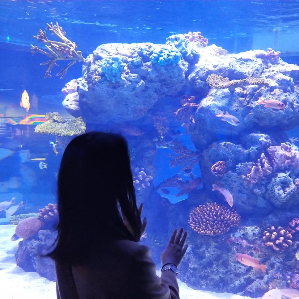 佛山全案家具工厂-彭彭