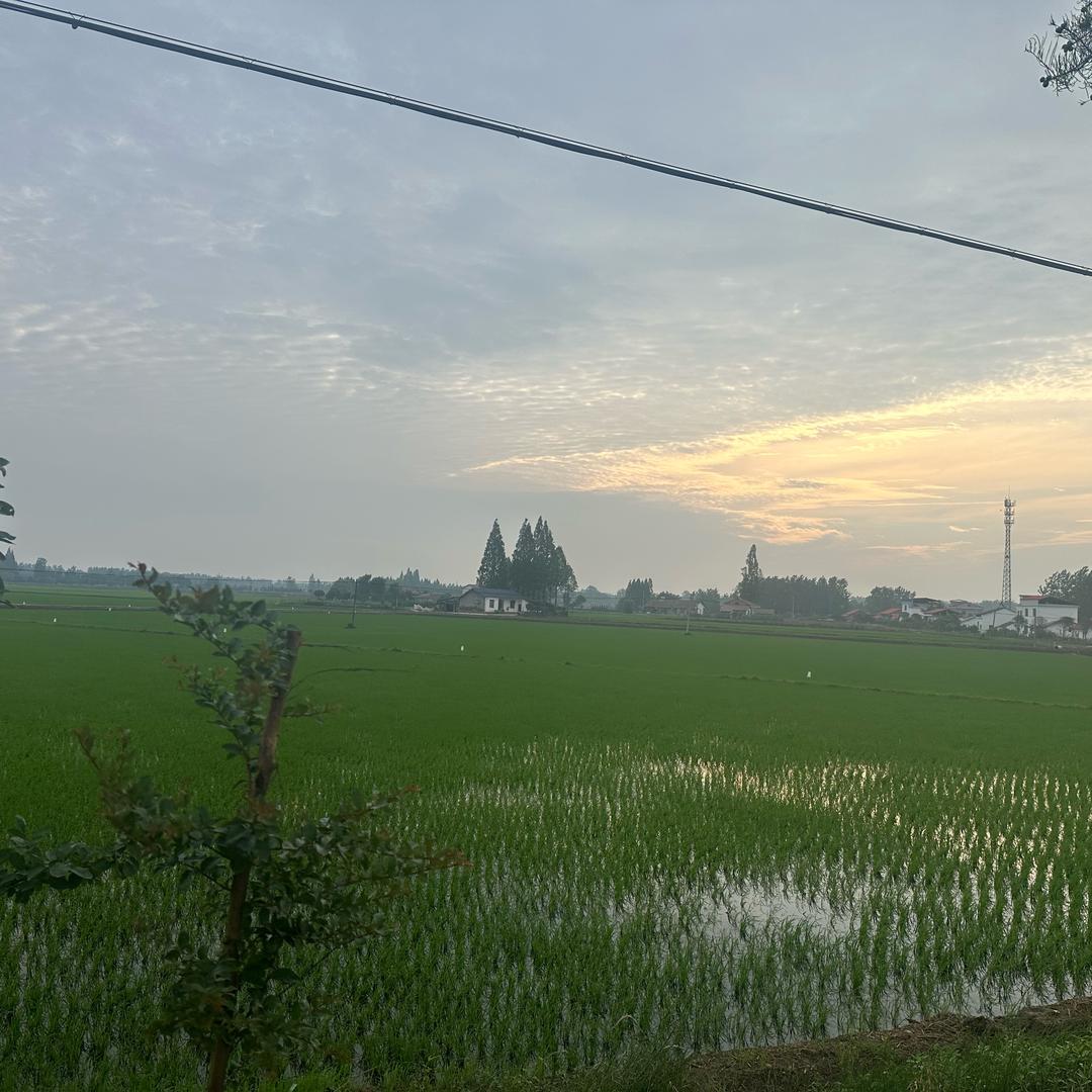 U-分享