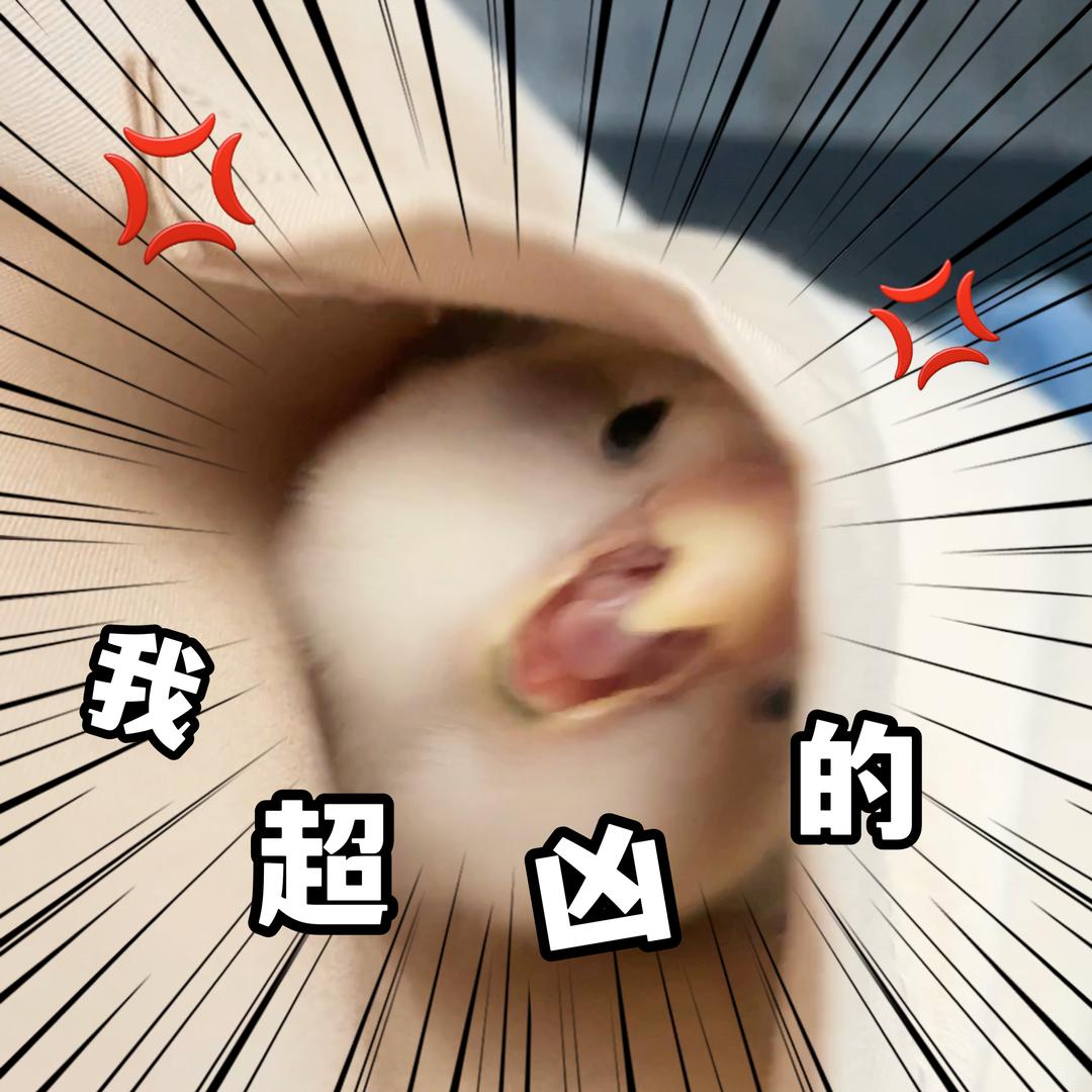 小熙er