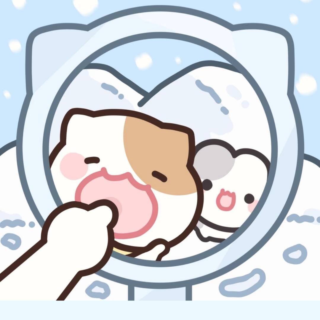 名字是这个