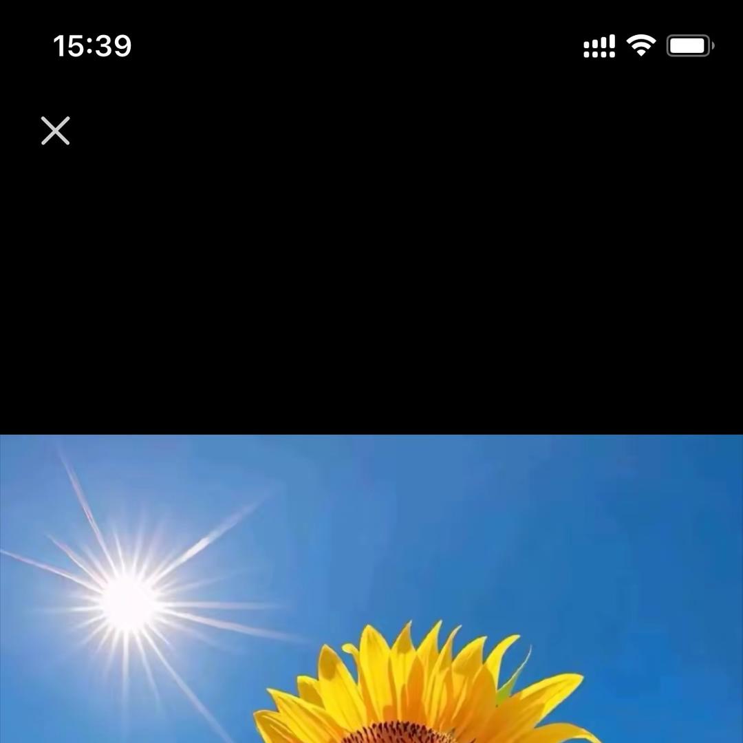 鸿运四海福天