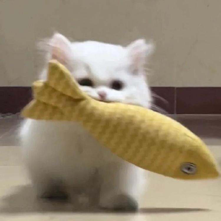 ꕥ晚风℘