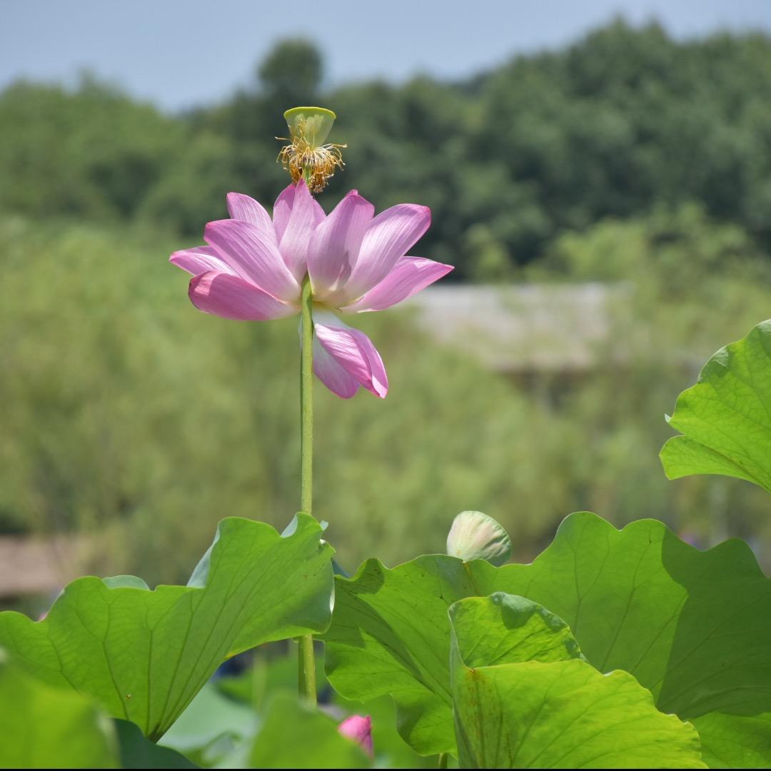 陈陈