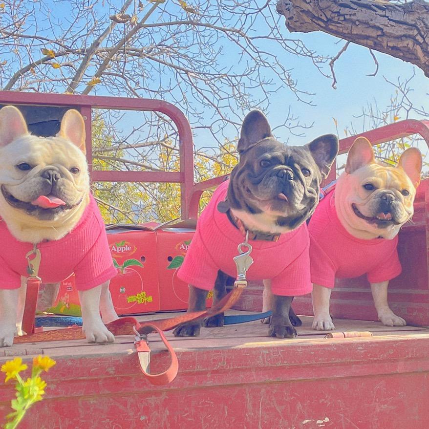 🍓十八和胖丫の老母親😙🍓谢绝连赞