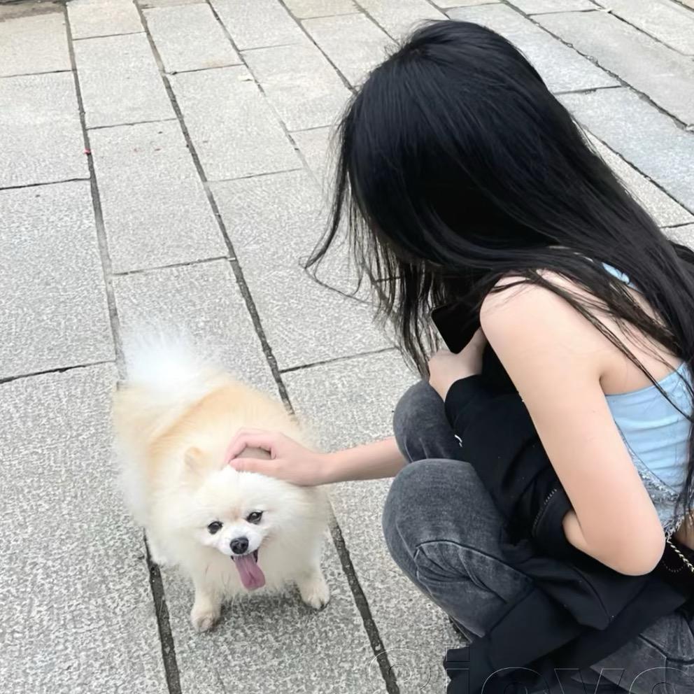 起风了