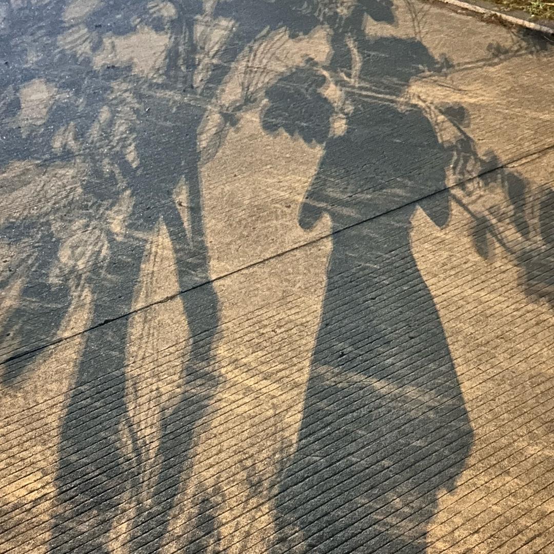 小燕子好物分享