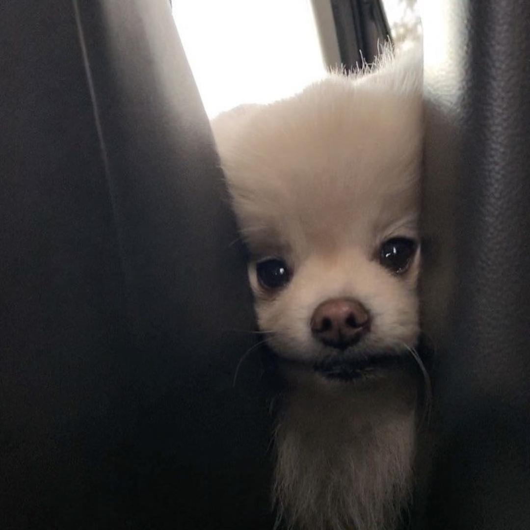 啧什么泽