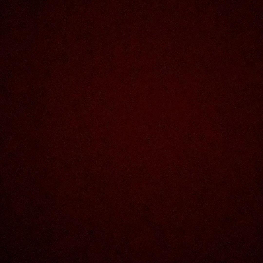 君临春暖花开