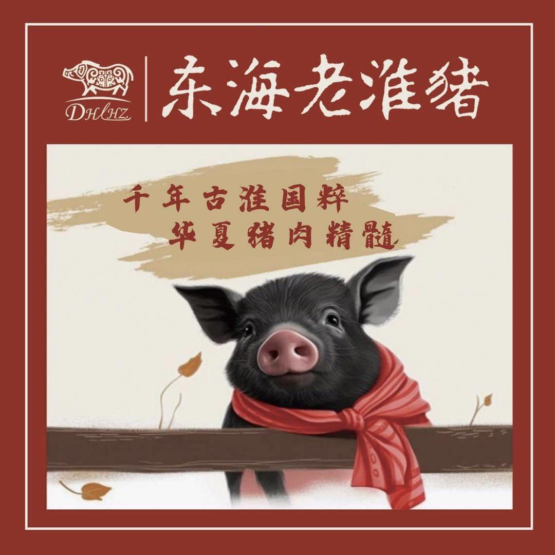 东海老淮猪肉销售直播中心