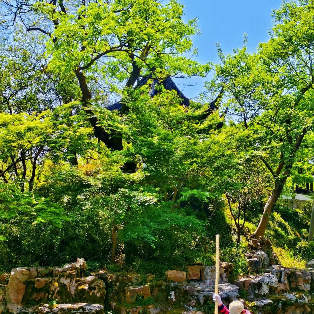 小子一
