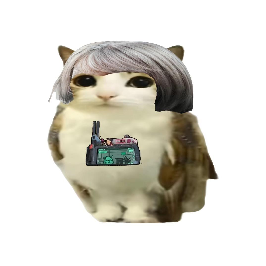 我要睡觉(´-ω-`)