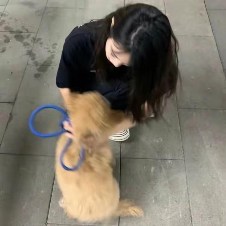 小y.