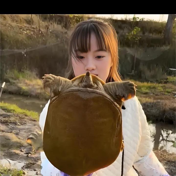 甲鱼合作养殖基地