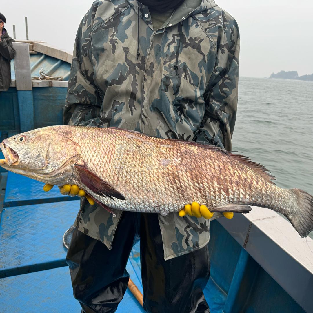 海渔捕手优品汇