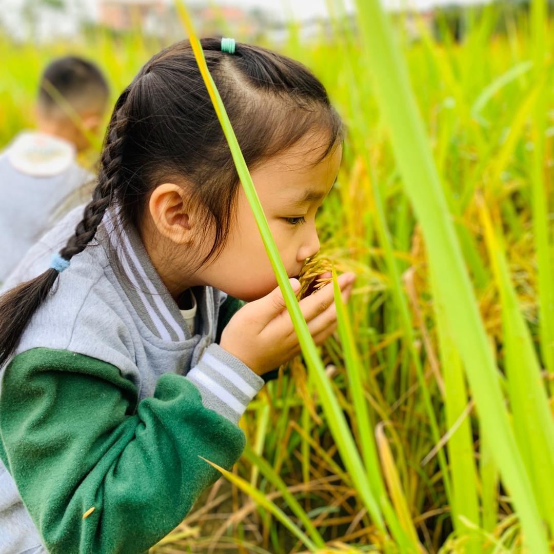 北京博苑（赣州）幼儿园