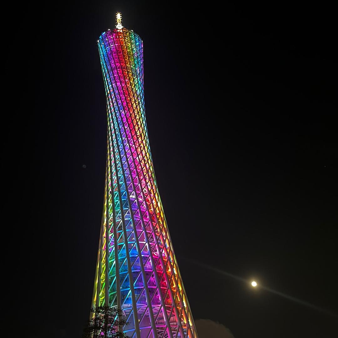 兔子宝