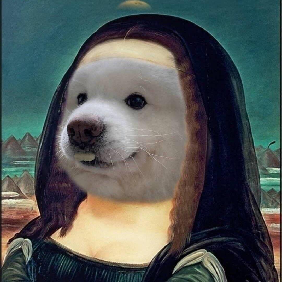 不想洗头🫐🫐