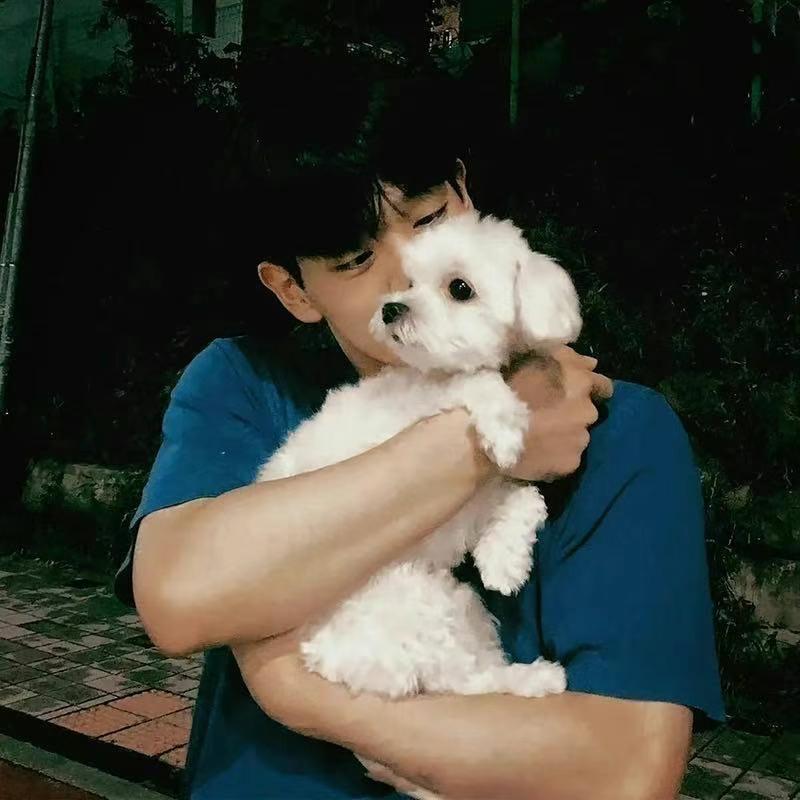 AAA建材批发木总