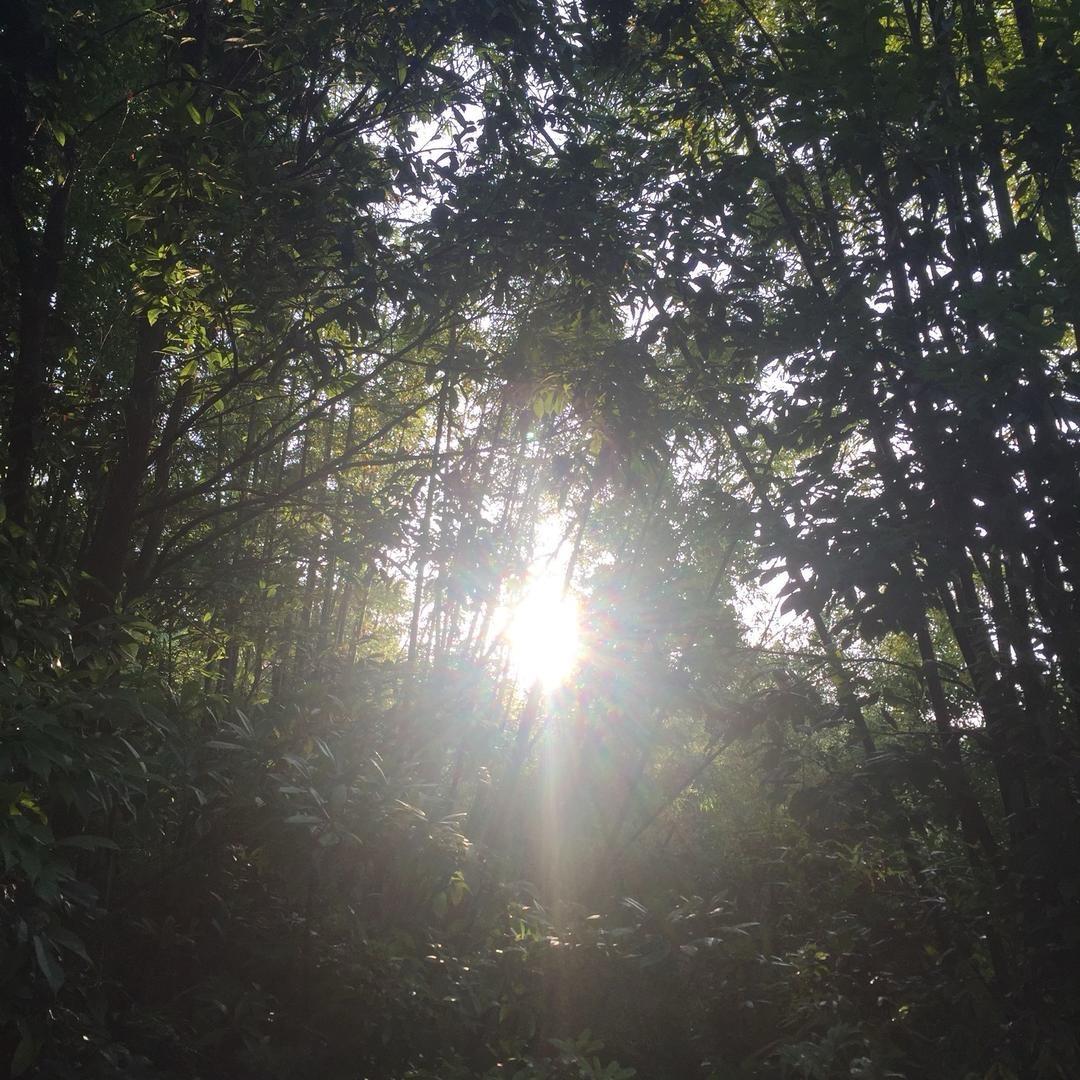 宝哥是我男神